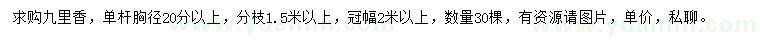 求購單桿胸徑20分以上九里香