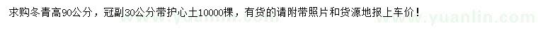 求購高90公分冬青