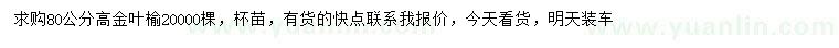 求購高80公分金葉榆
