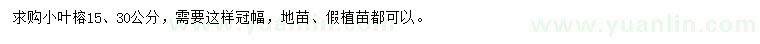 求購(gòu)15、30公分小葉榕