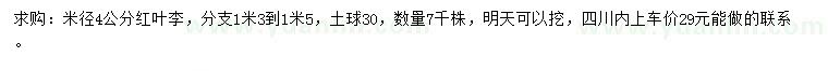 求購(gòu)米徑4公分紅葉李