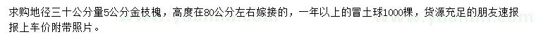 求購地徑30量5公分金枝槐