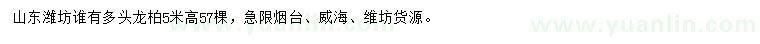 求購(gòu)高5米多頭龍柏