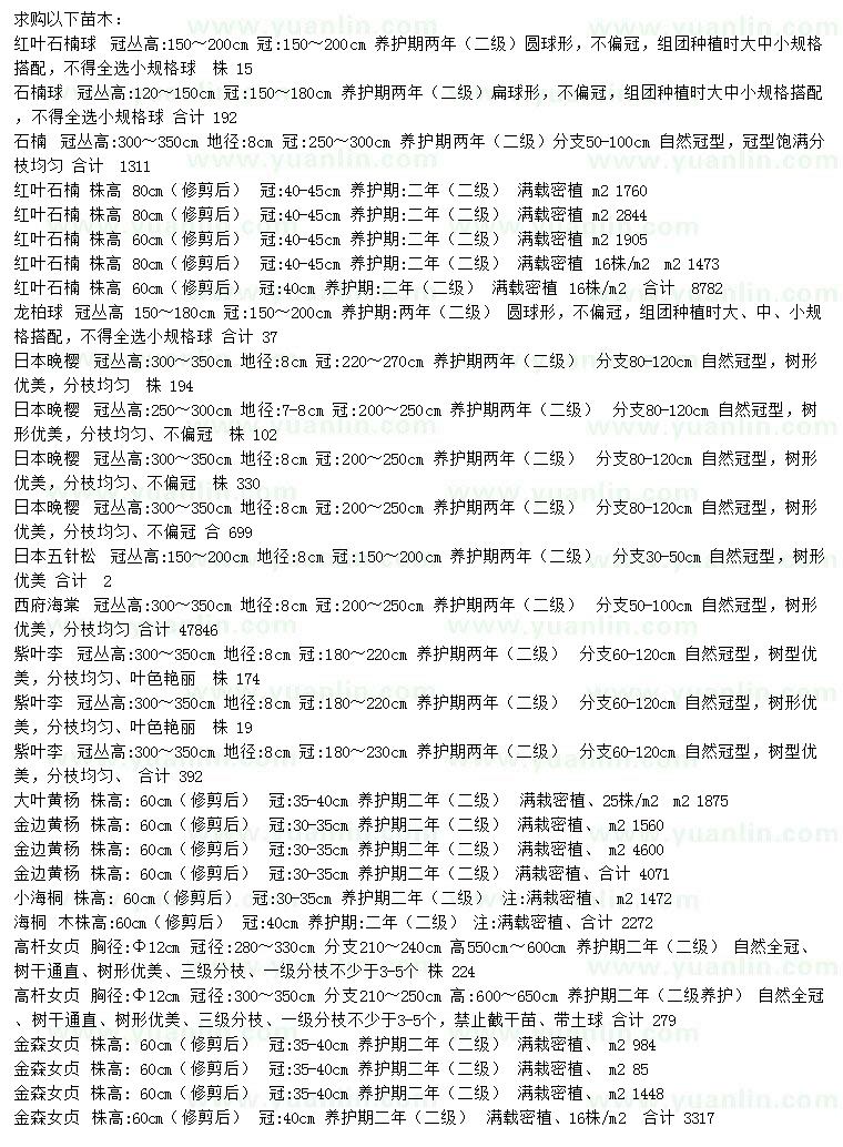 求購紅葉石楠球、石楠球、石楠等