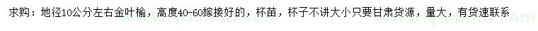 求購(gòu)地徑10公分左右金葉榆