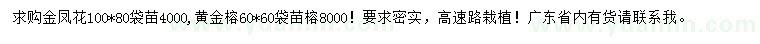 求購100*80金鳳花、60*60黃金榕