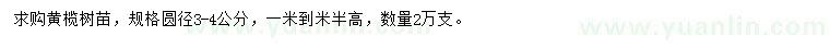 求購(gòu)圓徑3-4公分黃欖樹苗