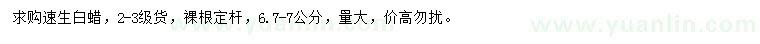 求購6.7-7公分速生白蠟