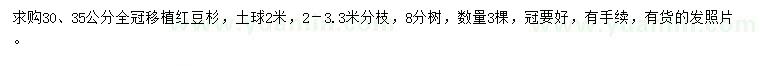 求購30、35公分紅豆杉