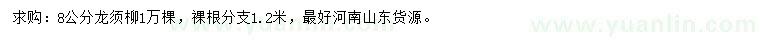 求購8公分龍須柳