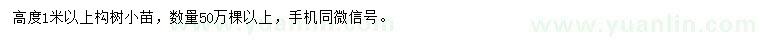求購(gòu)高度1米以上構(gòu)樹(shù)小苗