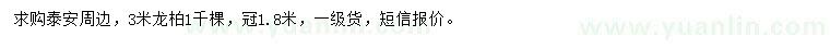 求購3米龍柏