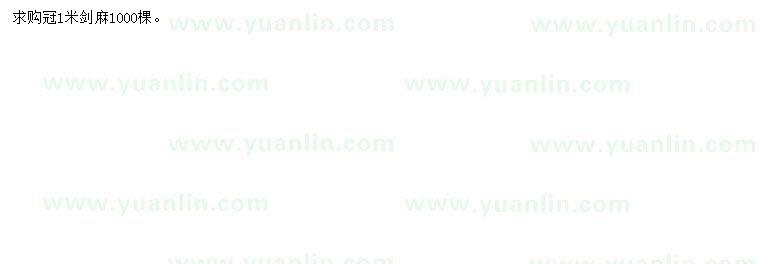 求購(gòu)冠幅1米劍麻