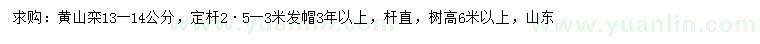 求購(gòu)13-14公分黃山欒