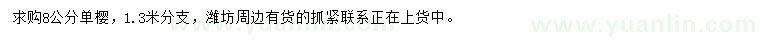 求購8公分單櫻