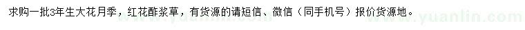 求購(gòu)3年生大花月季、紅花酢漿草