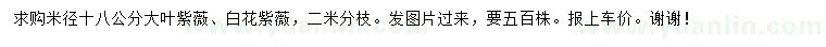 求購米徑18公分大葉紫薇、白花紫薇