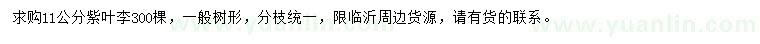 求購11公分紫葉李