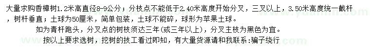 求購(gòu)1.2米量直徑8-9公分香樟樹(shù)