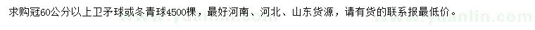 求購冠60公分以上衛(wèi)矛球或冬青球