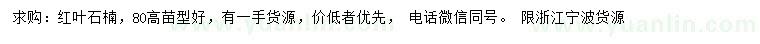求購(gòu)高80公分紅葉石楠