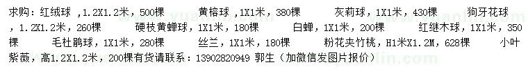 求購(gòu)黃榕球、灰莉球、狗牙花球等
