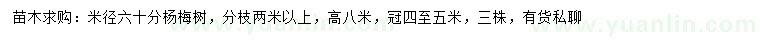 求購米徑60公分楊梅樹