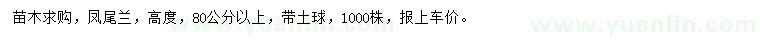 求購高度80公分以上鳳尾蘭