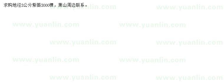 求購地徑3公分紫薇