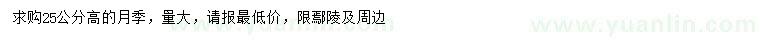求購(gòu)高25公分月季