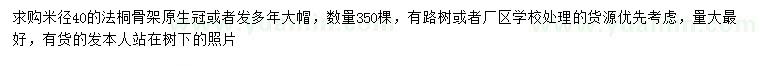 求購(gòu)米徑40公分法桐