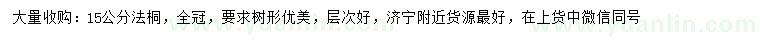求購15公分法桐