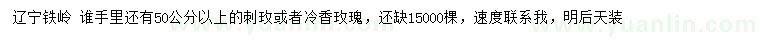 求購50公分以上刺玫或者冷香玫瑰