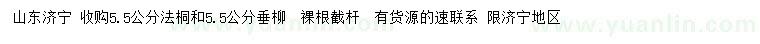 求購5.5公分法桐、垂柳