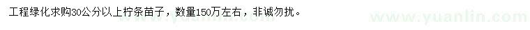 求購30公分以上檸條苗子