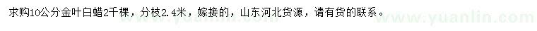求購10公分金葉白蠟