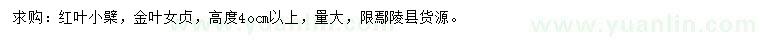 求購高度40公分以上紅葉小檗、金葉女貞