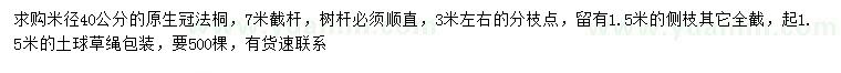 求購米徑40公分原生冠法桐
