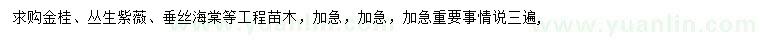 求購金桂、叢生紫薇、垂絲海棠