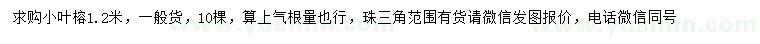 求購(gòu)1.2米小葉榕