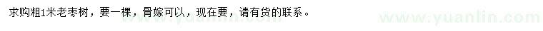 求購粗1米老棗樹