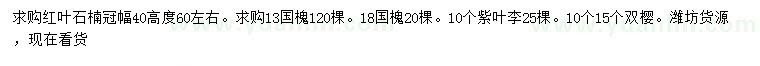 求購紅葉石楠、國槐、紫葉李等