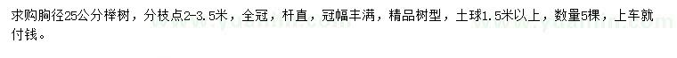 求購胸徑25公分櫸樹