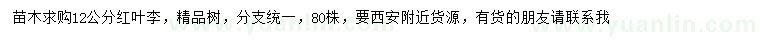 求購(gòu)12公分紅葉李