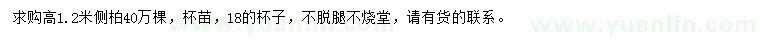 求購(gòu)高1.2米側(cè)柏