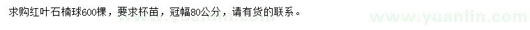 求購冠幅80公分紅葉石楠球