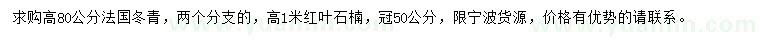 求購(gòu)高80公分法國(guó)冬青、高1米紅葉石楠