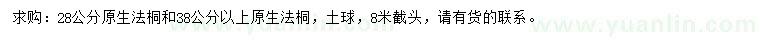 求購28、38公分以上原生法桐