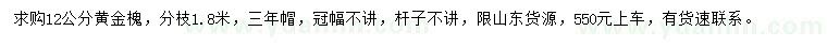 求購(gòu)12公分黃金槐