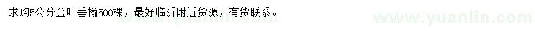 求購(gòu)5公分金葉垂榆